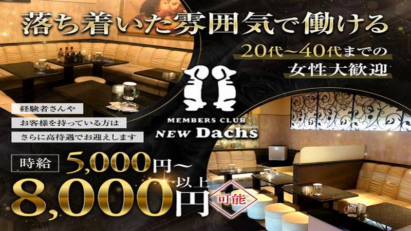 Dachs　Group