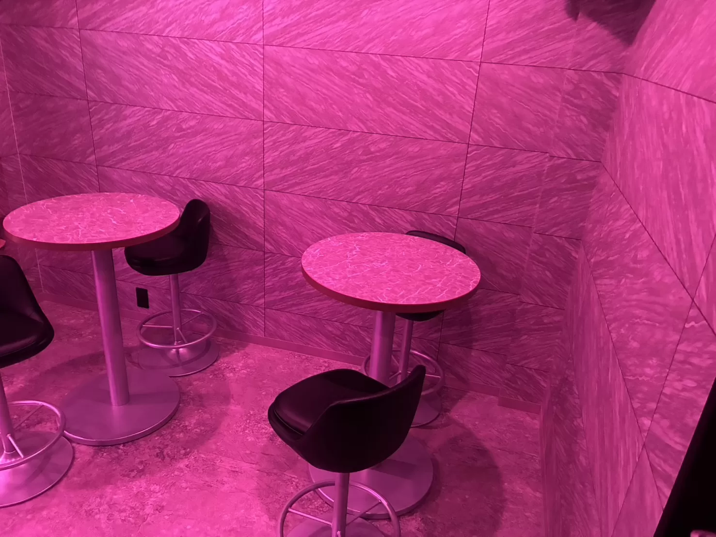 ZERO Ⅱの店内写真