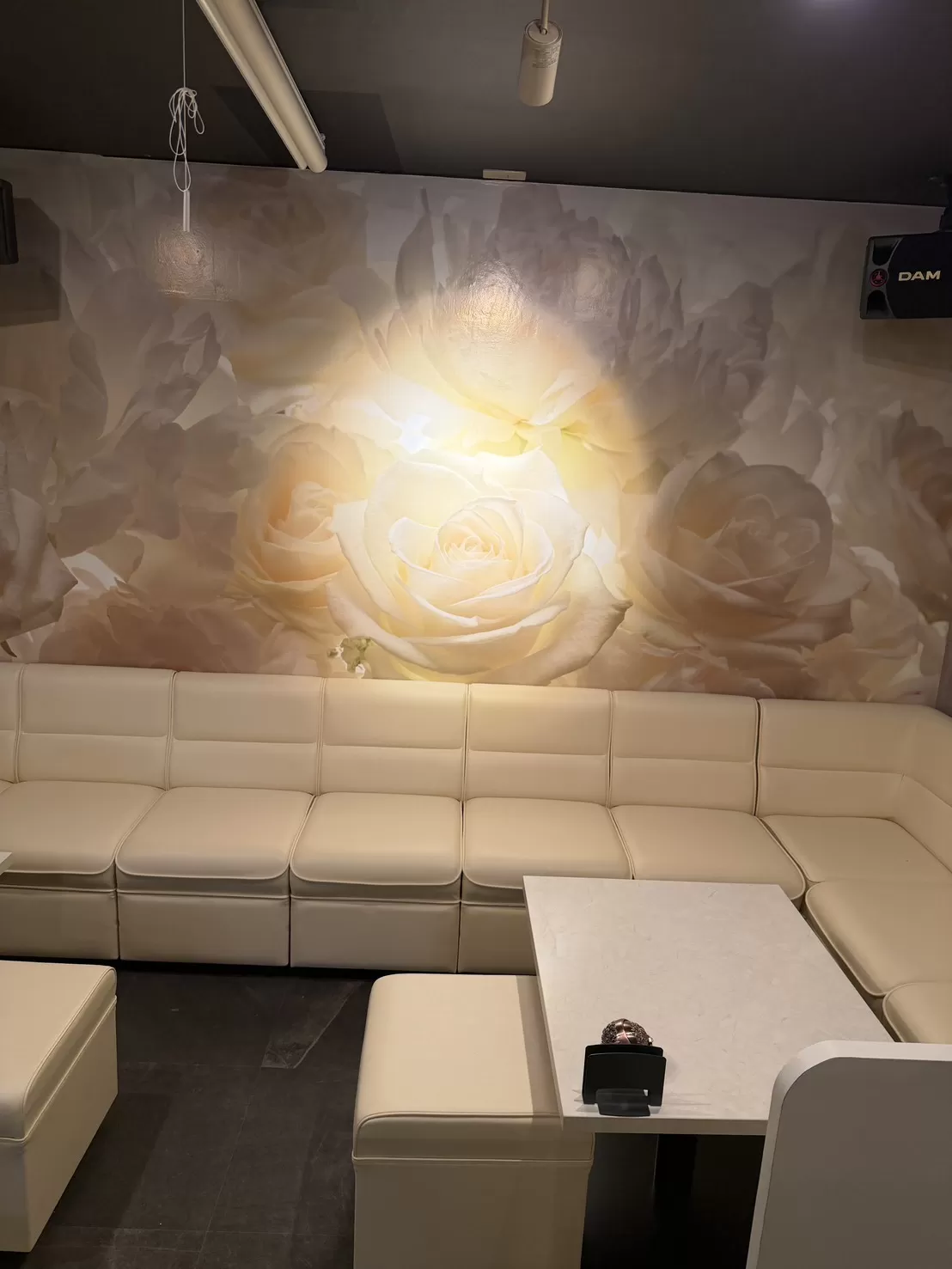 コンセプトカフェ＆バー Ritaの店内写真