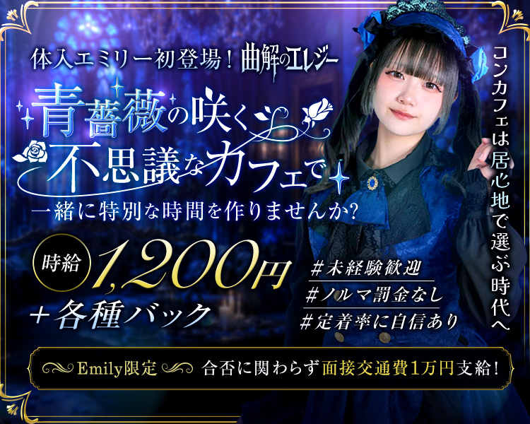 体入エミリー初登場! 曲解のエレジー
青薔薇の咲く不思議なカフェで
一緒に特別な時間を作りませんか
時給1,200円
+各種バック