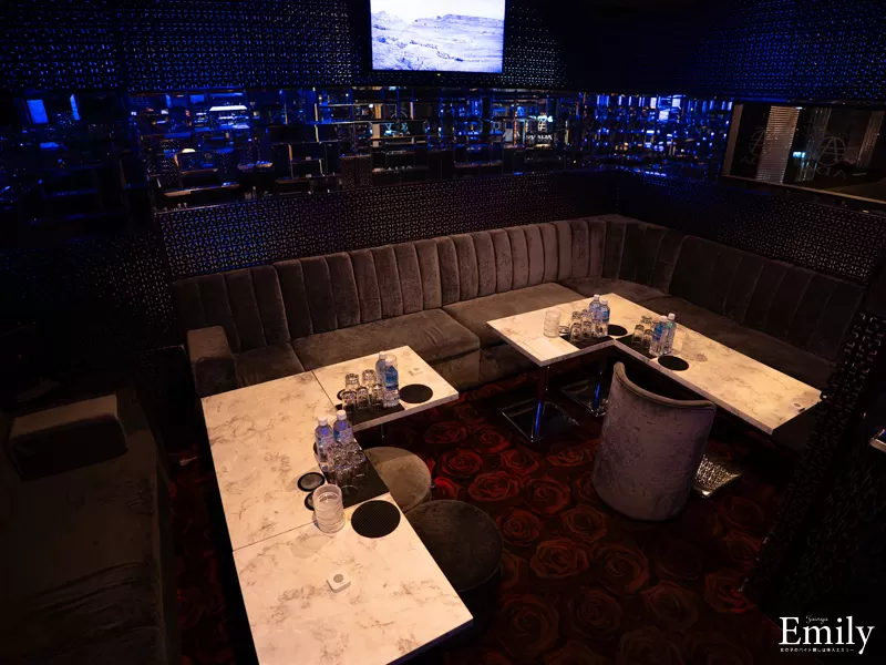 CLUB ADA(エイダ)の店内写真
