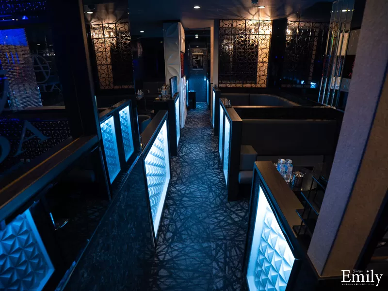 CLUB ADA(エイダ)の店内写真