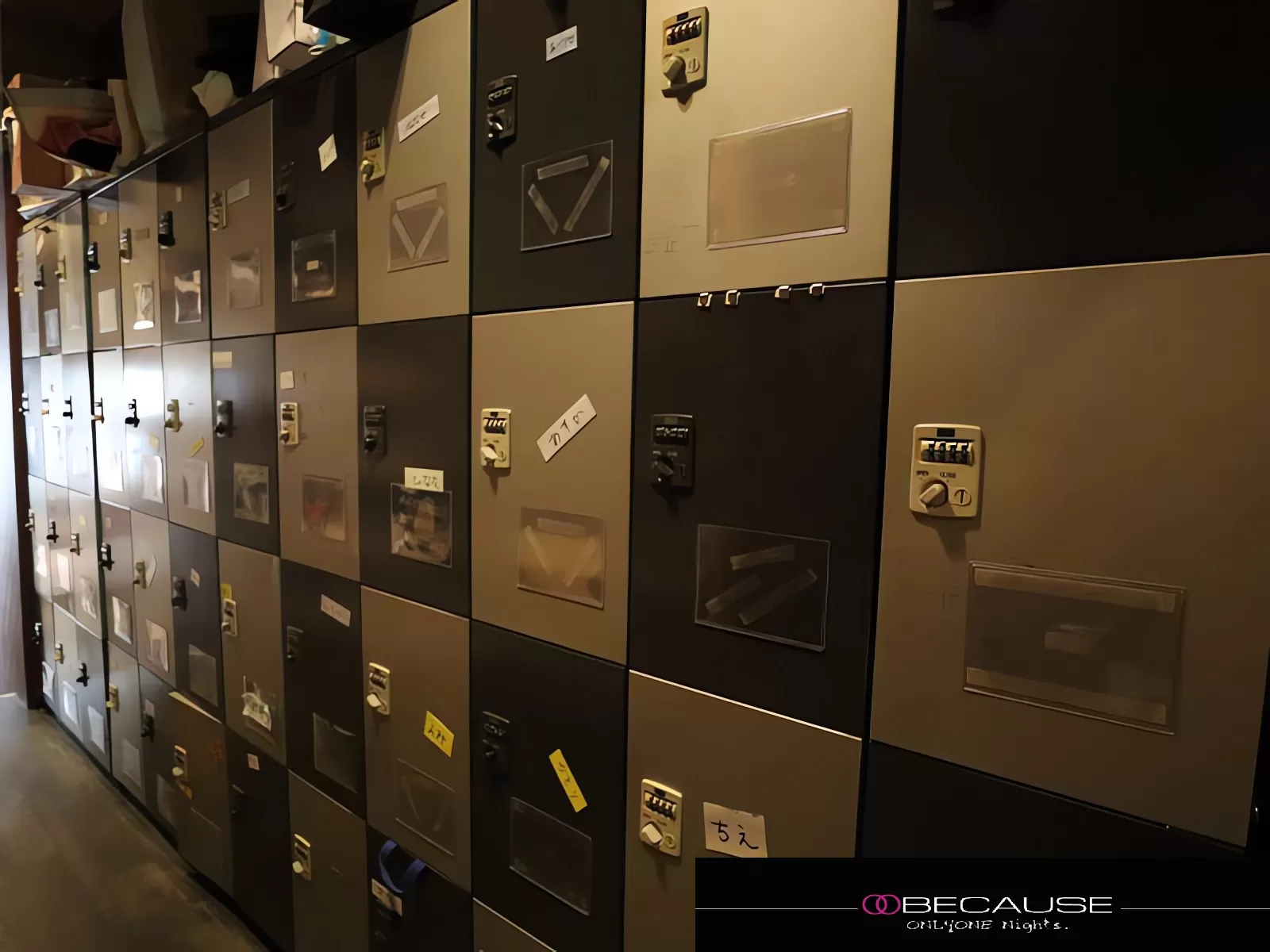 BECAUSEのフォトギャラリー