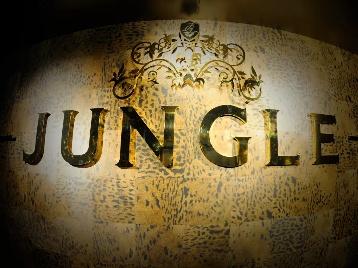 JUNGLE 宮崎の店内写真