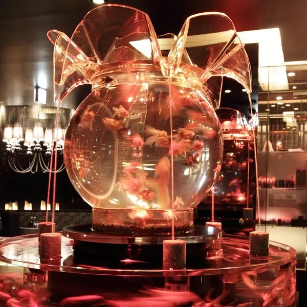 NEW CLUB Kingyoの店内写真