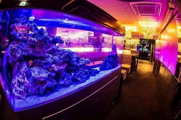 New Club Camelliaの店内写真