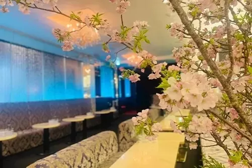 New Club Camelliaの店内写真