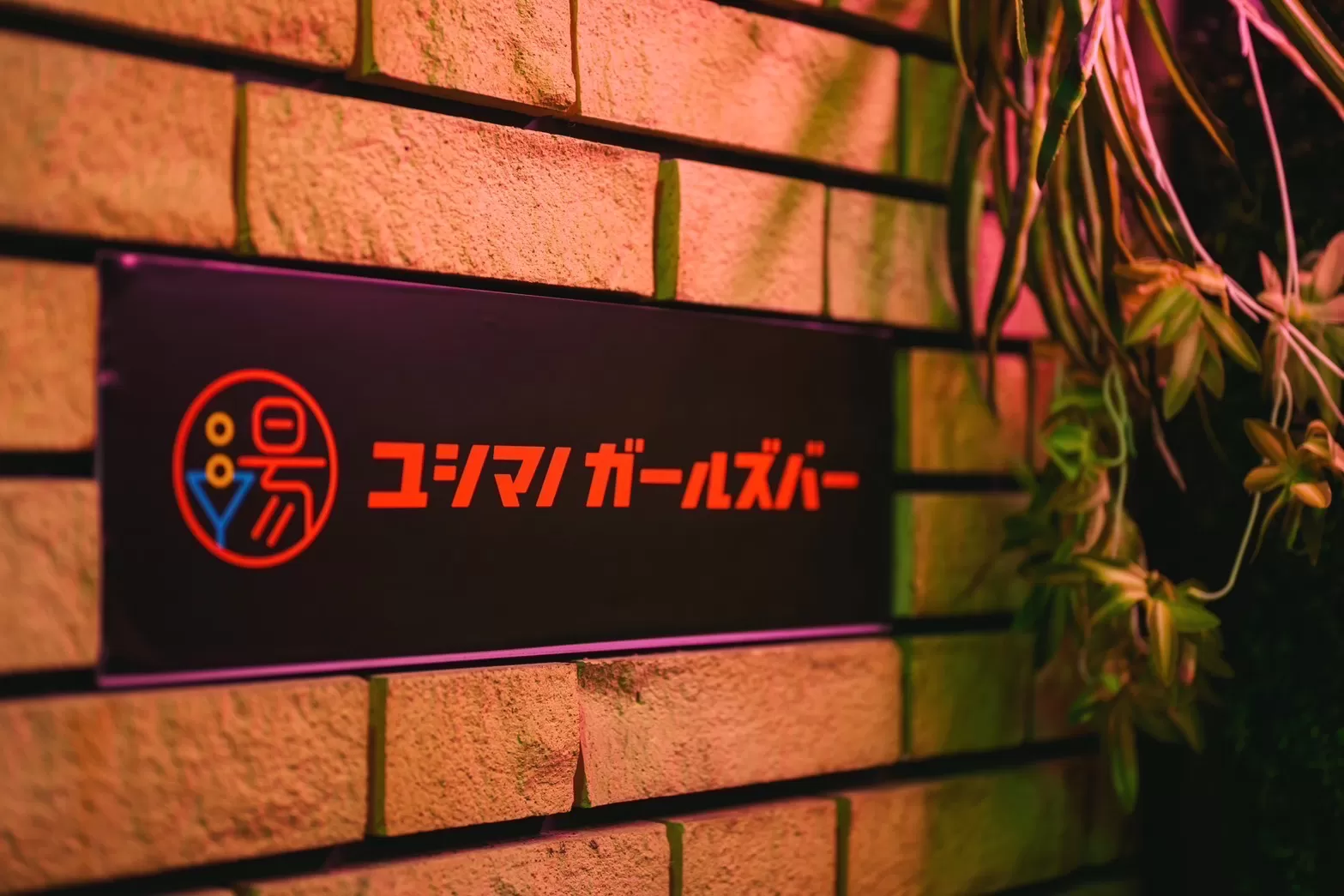 ユシマノガールズバーの店内写真