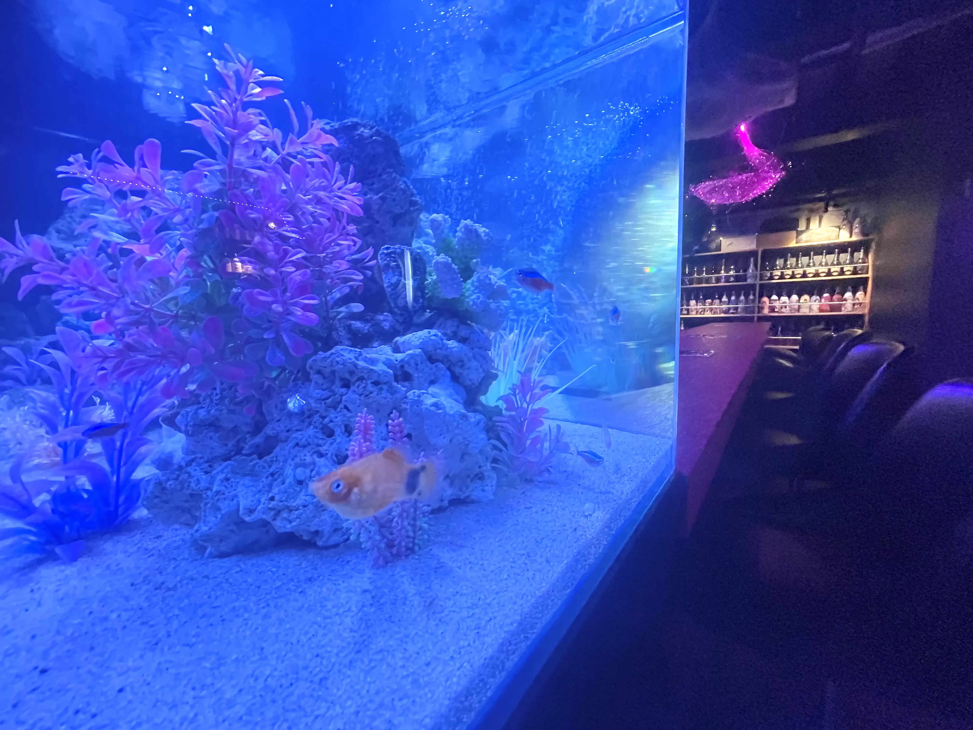 AQUA BARの店内写真