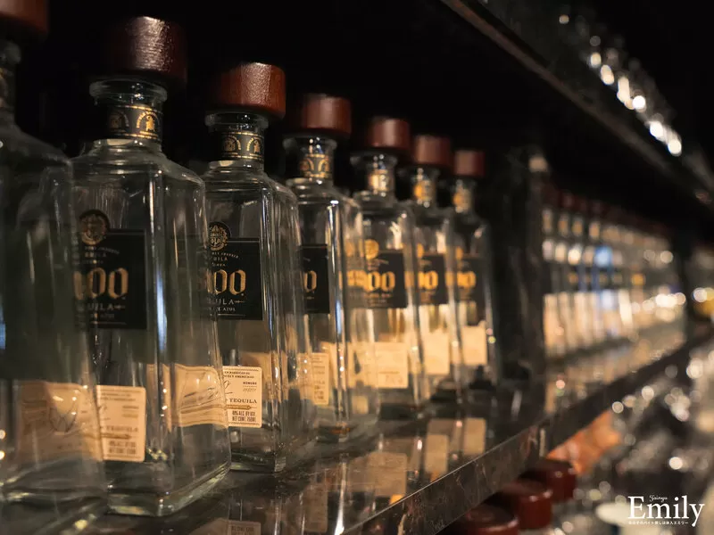 Amusement Girls bar Verandaの店内写真