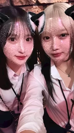 ALICEのフォトギャラリー