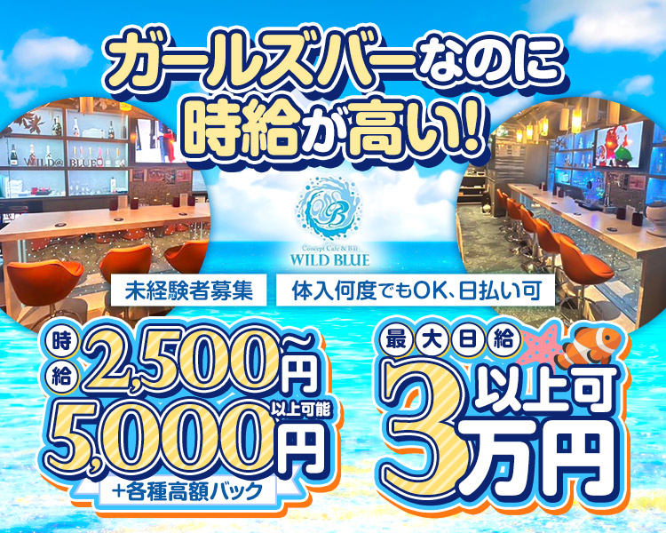 ガールズバーなのに時給が高い!
WILD BLUE
未経験者募集
体入何度でもOK、日払い可
時給2,500円～5,000円以上可能
+各種高額バック
最大日給3万円以上可