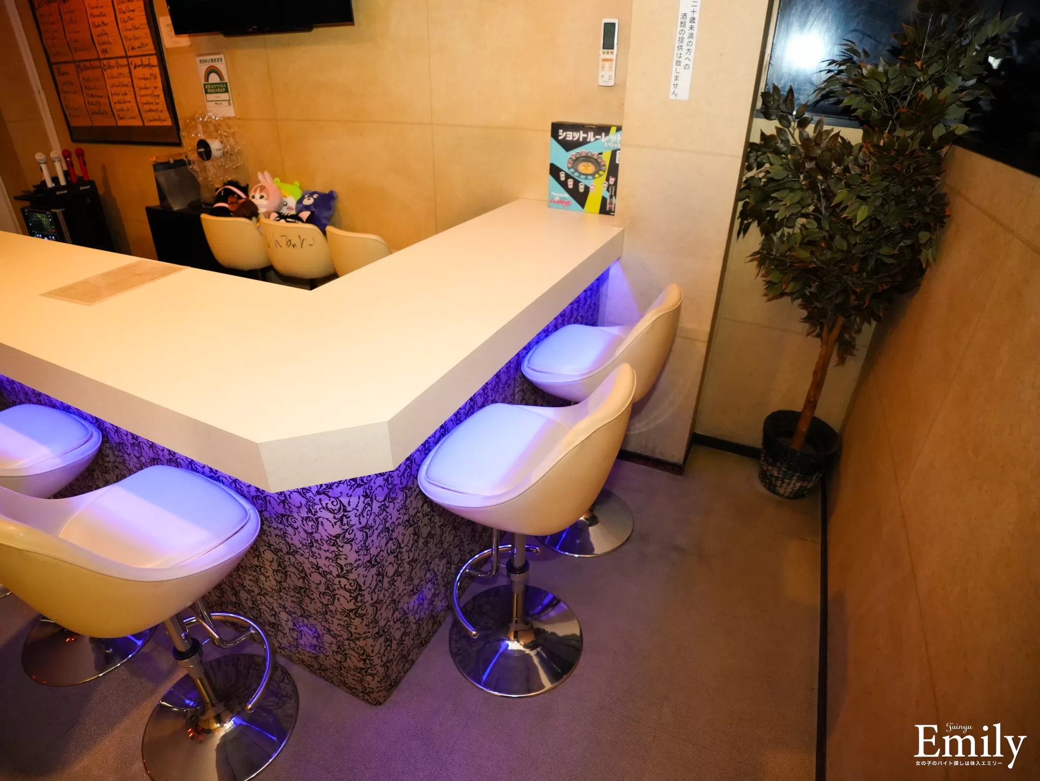 Girl's Bar Chicchiの店内写真