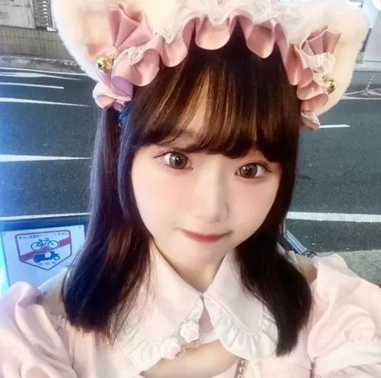 #ねこはじ - ねこはじめました -のフォトギャラリー