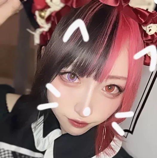 #ねこはじ - ねこはじめました -のフォトギャラリー