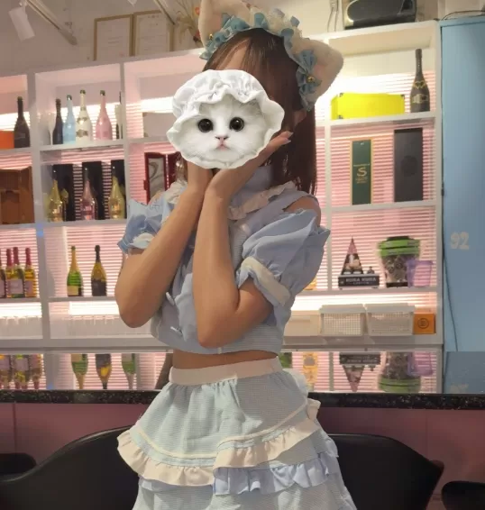 #ねこはじ - ねこはじめました -のフォトギャラリー