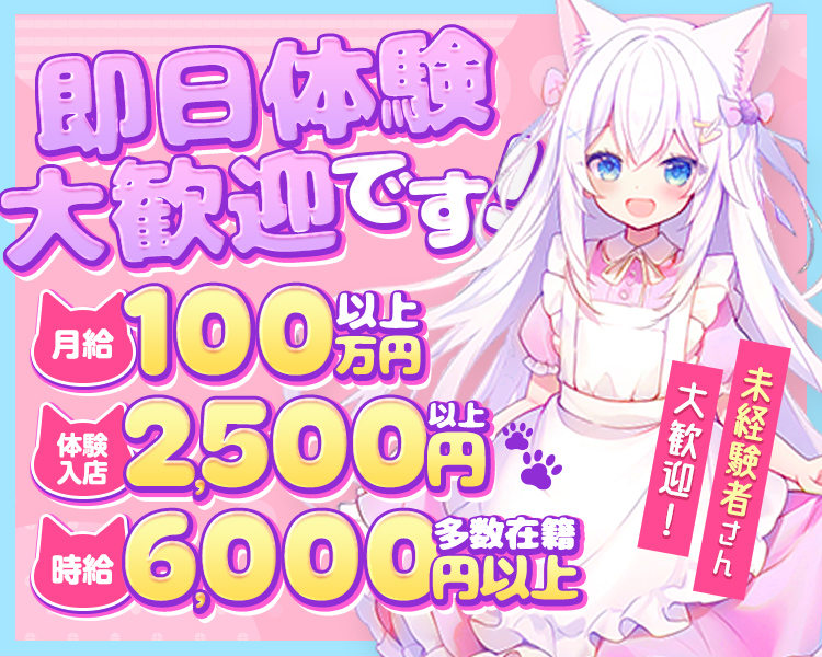 江坂のコンカフェと言えば、【ねこはじ】
体入時給2,500円以上をお約束♪