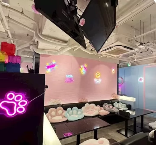 #ねこはじ - ねこはじめました -の店内写真