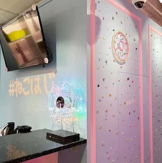 #ねこはじ - ねこはじめました -の店内写真