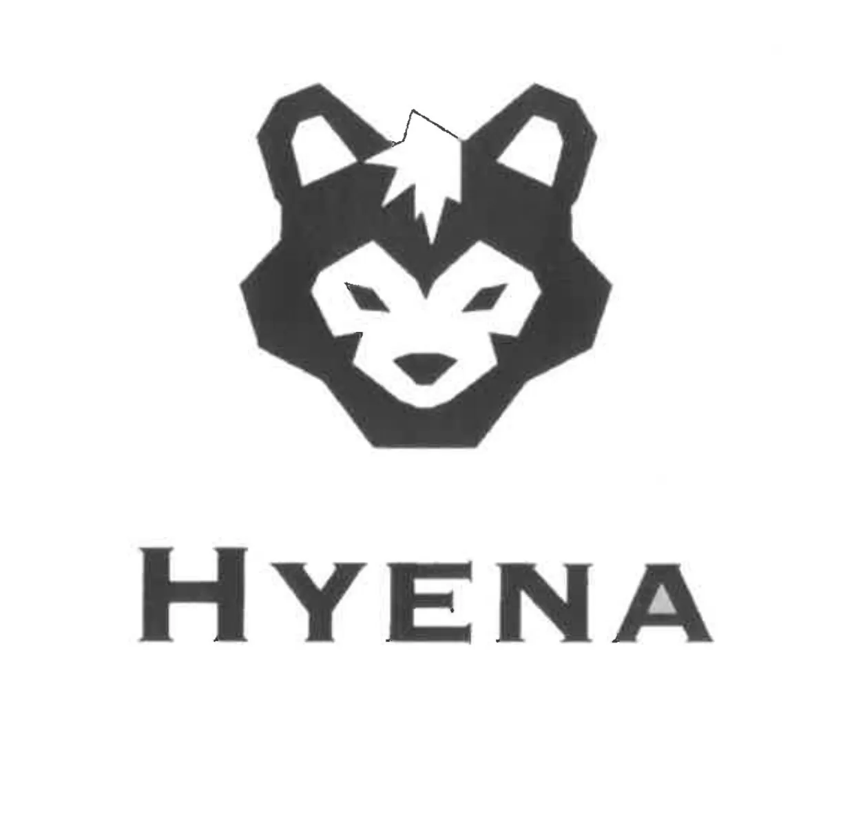 HYENAのフォトギャラリー