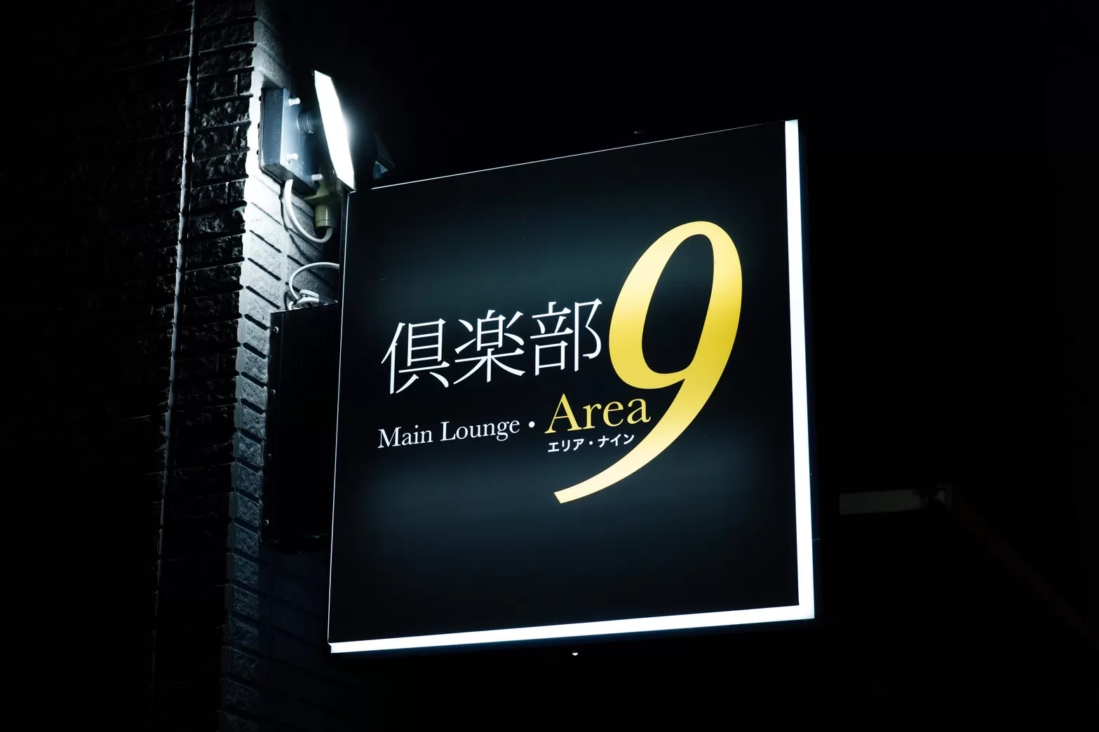 AREA9のフォトギャラリー