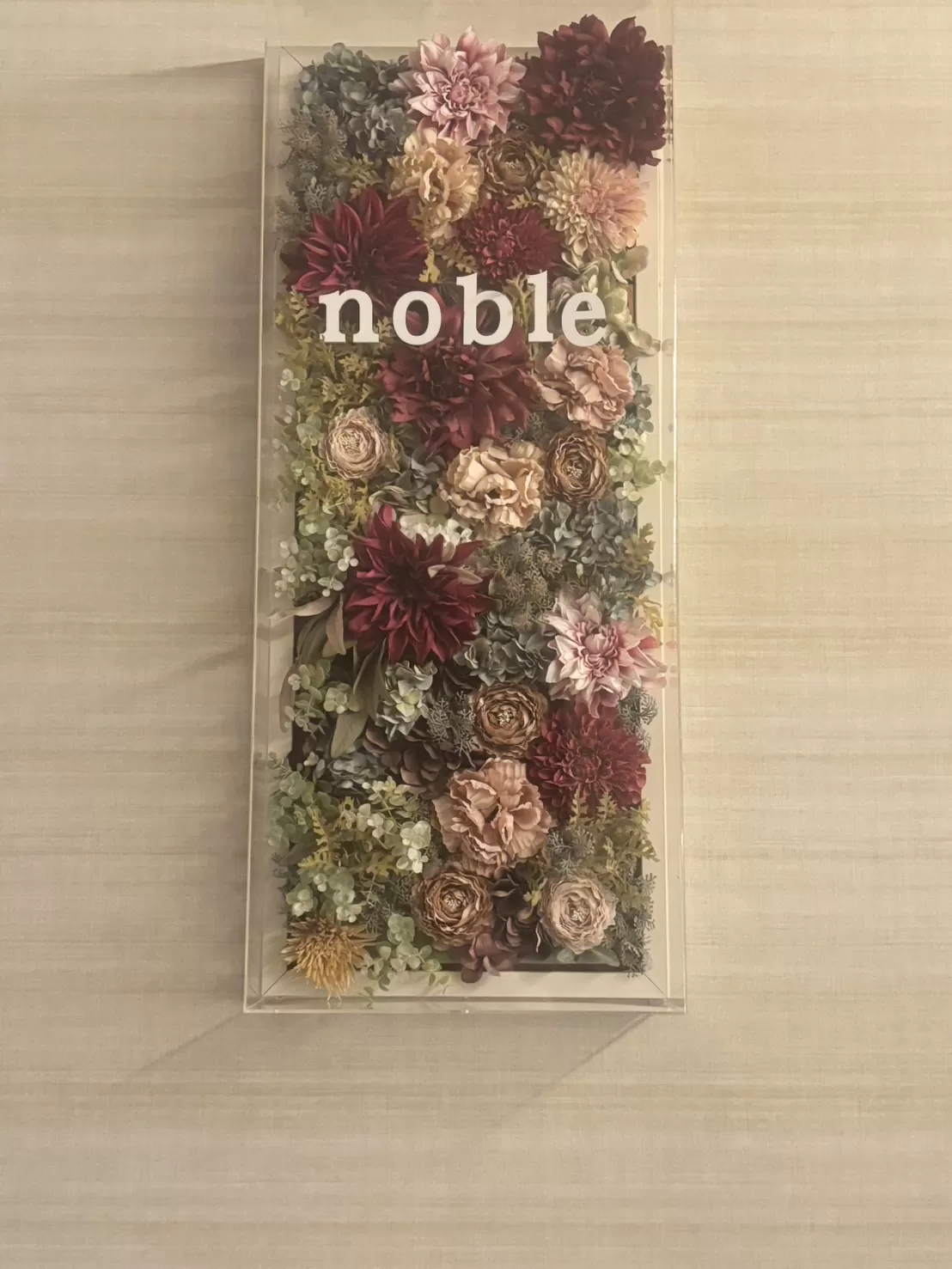 nobleのフォトギャラリー