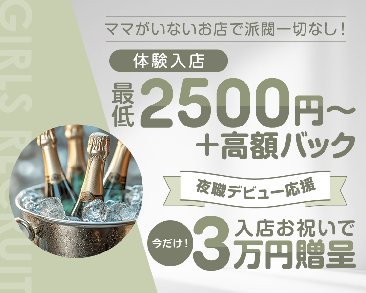 ママのいない”新しいお店”
未経験からでも始めやすい環境で夜職デビューも応援します！
時給2,000～3,600円+高額バック
今なら入店祝い金３万円支給中/上下関係や派閥一切なし◎