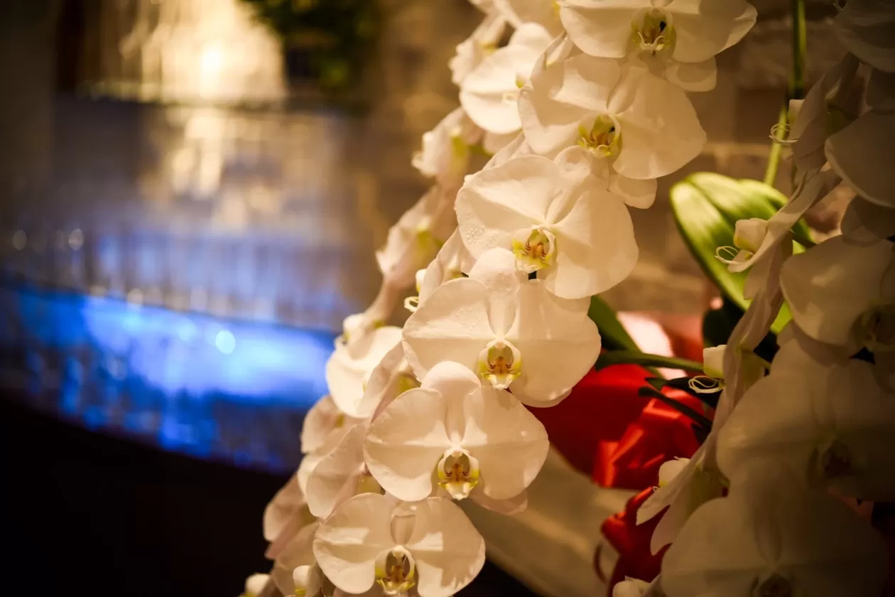 リトルシェリーの店内写真