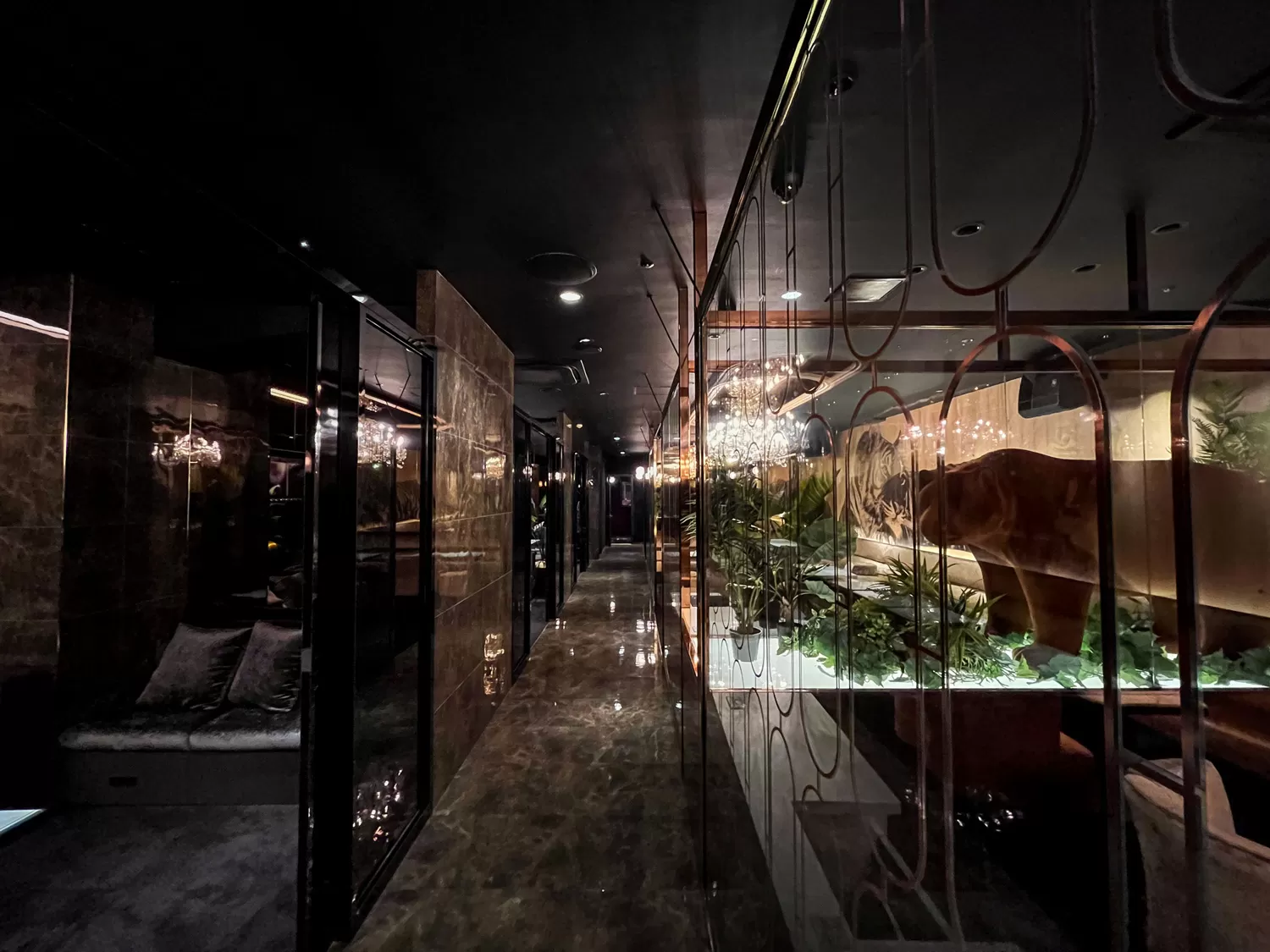 ZOO金沢の店内写真