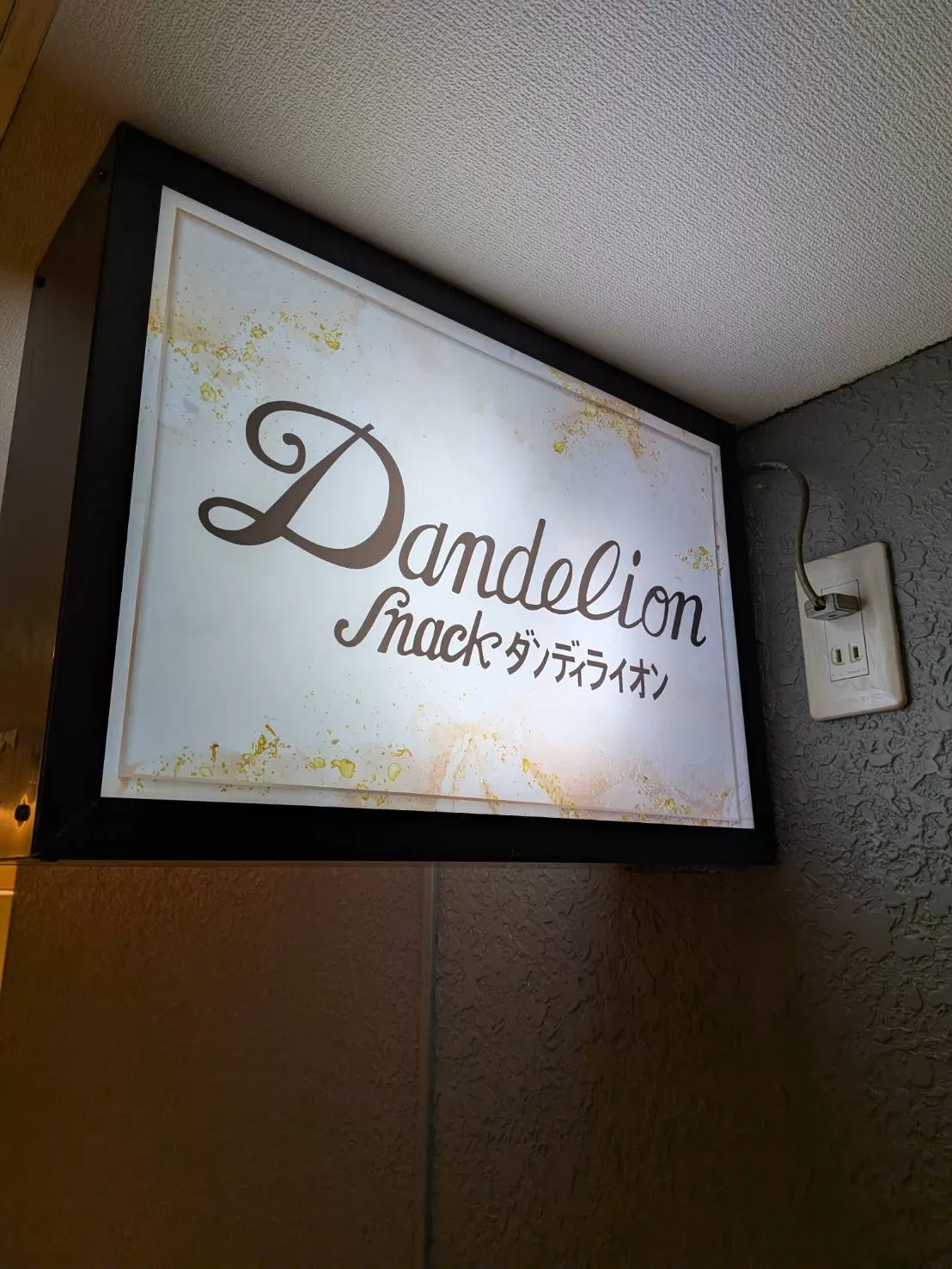 ダンディライオンの店内写真