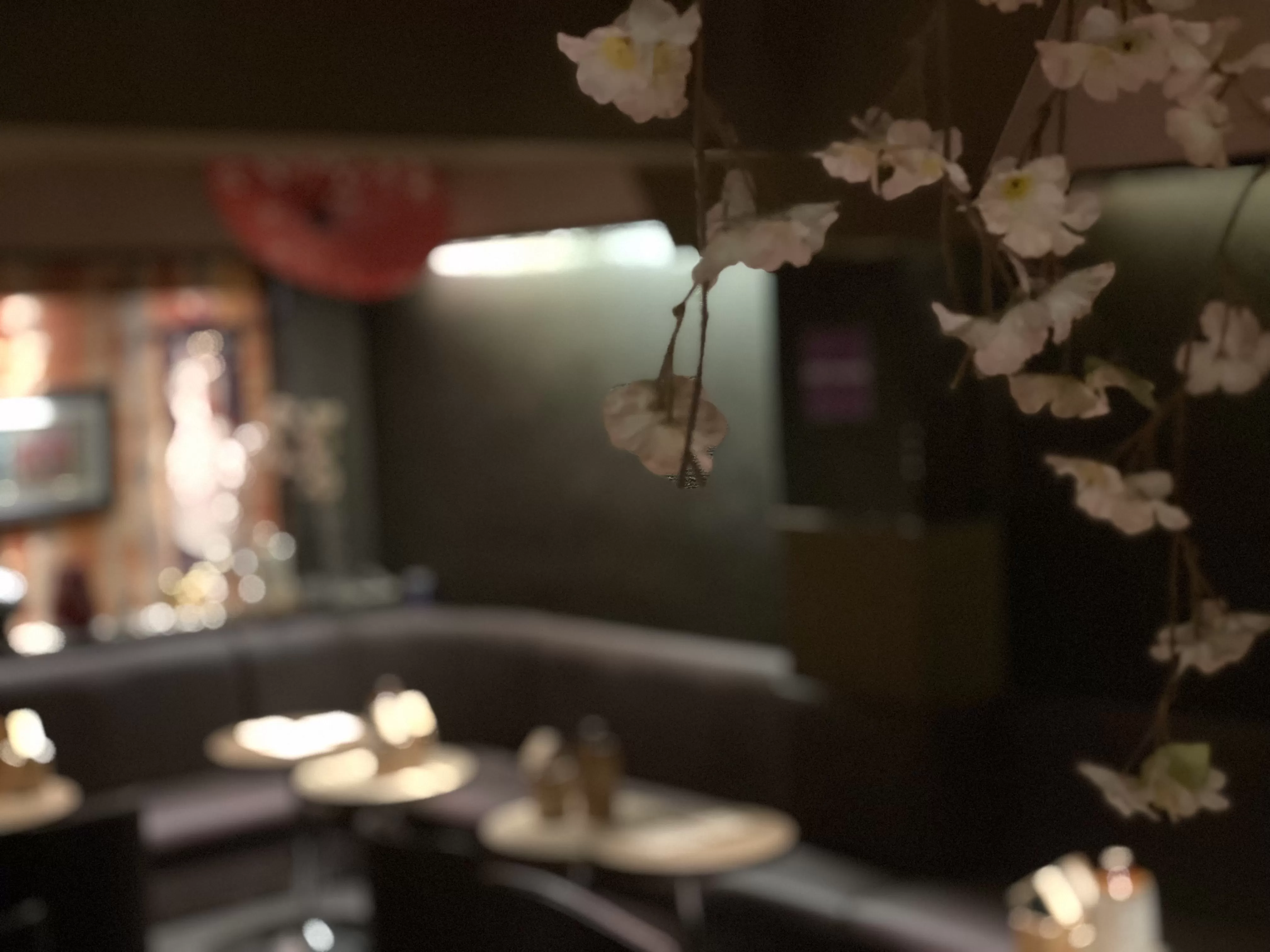 千本桜の店内写真
