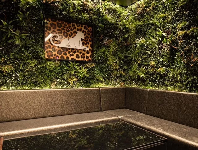 CHANCE PANTHER（チャンスパンサー)の店内写真