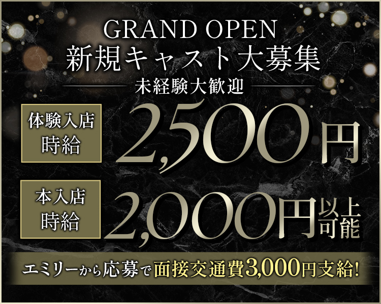 GRAND OPEN
新規キャスト大募集未経験大歓迎
体験入店時給2,500円
本入店時給2,000円円以上可能
エミリーから応募で面接交通費3,000円支給!