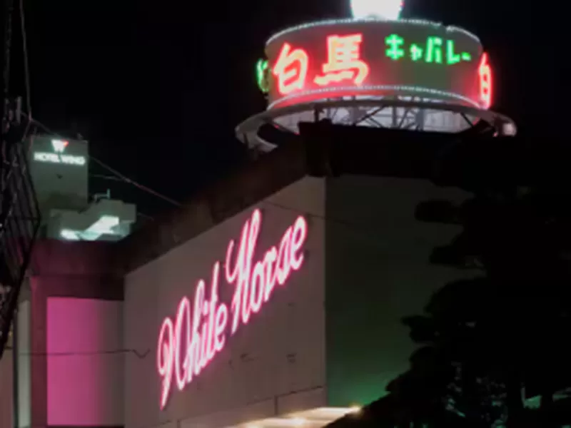 ニュー白馬のフォトギャラリー